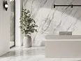 Керамогранит Argenta Nesta White RC 60x120