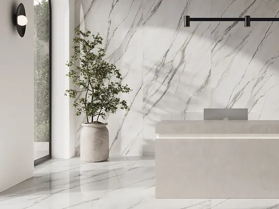Фото Керамогранит Argenta Nesta White RC 60x120 Испания
