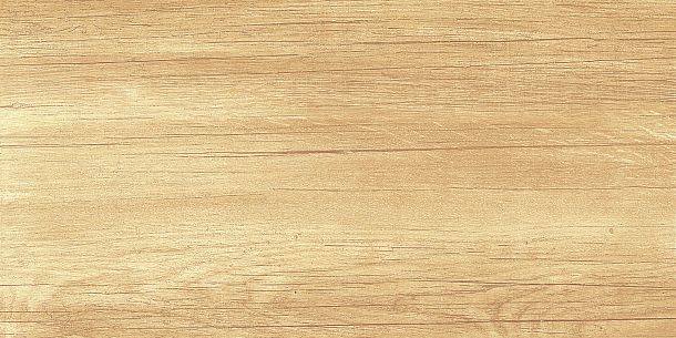 Фото Плитка Paradise Wood 250x500x9 (WT9OAS31) Россия