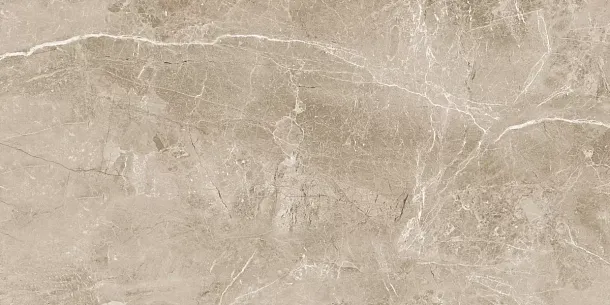 Фото Керамогранит Obsidian Taupe Полированный 60x120 Индия