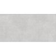 Керамогранит Millenium Light Gray 60х120