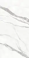 Фото Керамогранит Protiles PT12F7002 Calacatta Matt 1200х600х9