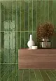 Плитка Equipe 31553 Bali Moss 5x40