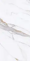 Фото Керамогранит Protiles Bianco PT12P7059 Pol 1200х600х9