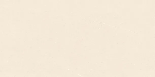 Фото Керамогранит Gravita Melton Ivory Ghr Punch Matt 80x160 Индия