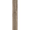 Керамогранит Eternity Natural 20x120