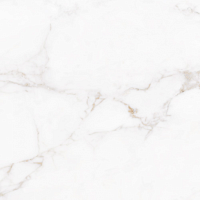 Фото Керамогранит Lucia-Pul Rp 59X59