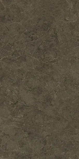 Фото Керамогранит Protiles PT12F7039 Neapol Brown Matt 1200х600х9 Узбекистан