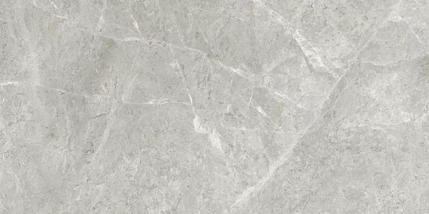 Фото Керамогранит Eternal ETSTN1236GL60120 Baltic Grey Glossy 60x120 Индия