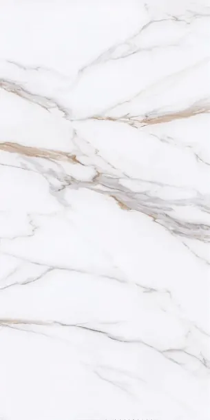 Фото Керамогранит Protiles PT12P7059 Bianco Pol 1200х600х9 Узбекистан