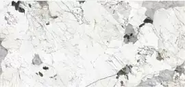 Фото Керамогранит Imola Ceramica PAT WH6 278 LP 120x278