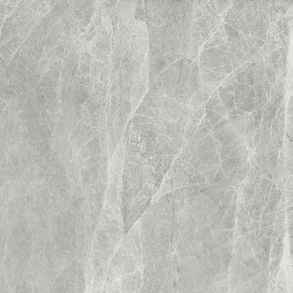 Фото Керамогранит Worner GREY 60x60 Индия