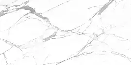 Фото Керамогранит Carrara Terrific Silver Белый Матовый 60x120 (х9999304541)