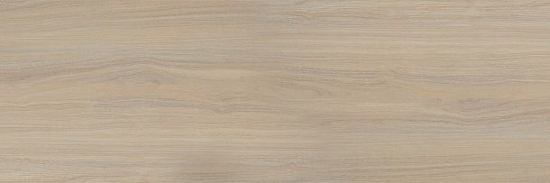 Фото Плитка Tokio 200x600 (TWA11TOK404) Россия