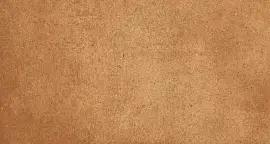 Фото Клинкерная плитка Loseta Gobi 310x150x14