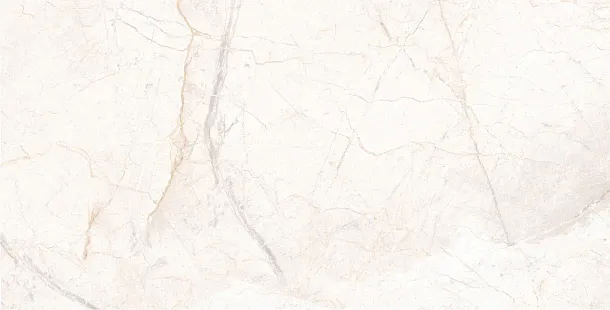 Фото Керамогранит Usak Seramik Manavgat Bone Polished 60x120 Турция