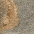 Керамогранит Alpas Copper Slate 20mm 60x60