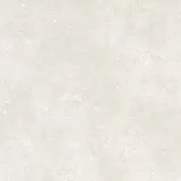 Фото Керамогранит Dado Ceramica 304332 Serica Bone Rett 120x120