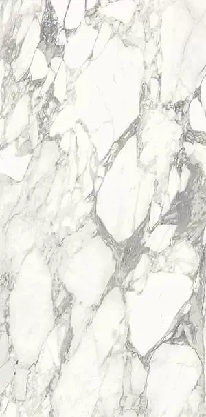 Фото Керамогранит Ariostea PL612513 Arabescato Classico Luc Ret 120x60 Италия