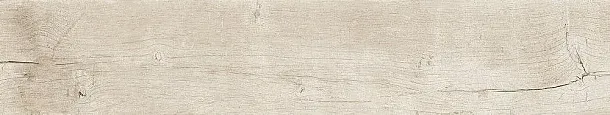 Фото Керамогранит Dune 189003 Quercus Betulla 22x120 Испания