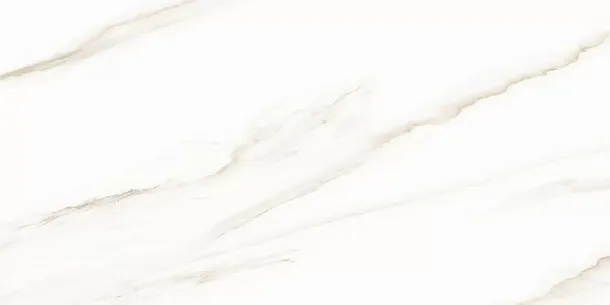 Фото Плитка WT9ESR00 Esprit Calacatta 250*500*9 Россия