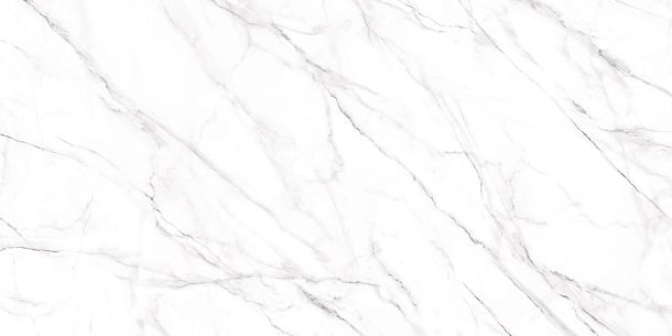 Фото Керамогранит Neo Calacatta матовый 600x1200x8,5 (GFU60120NCL07R) Россия