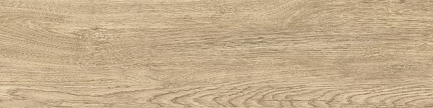 Фото Керамогранит Tanzania Beige матовый 151x602 (GP1560TAN11) Россия