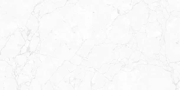 Фото Керамогранит Impero Carving 60x120 (NTT99518M) Индия