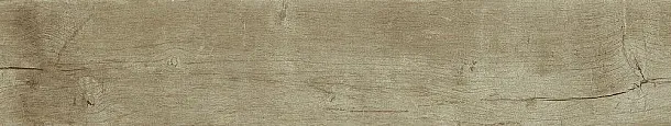 Фото Керамогранит Dune 189006 Quercus Antico 22x120 Испания