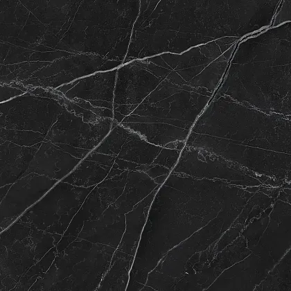 Фото Керамогранит Laparet LP6060G0211R Opera Nero чёрный матовый 59,5х59,5 Россия