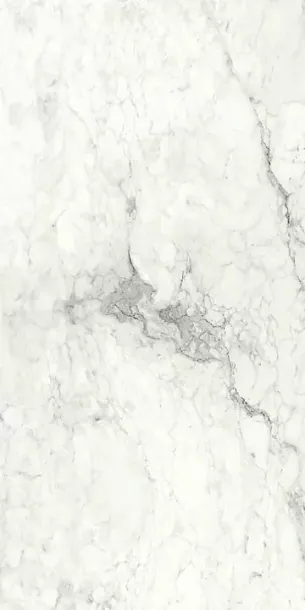 Фото Керамогранит Imola Ceramica BRECAP6 12 RM 60x120 Италия