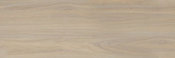 Фото Плитка Tokio 200x600 (TWA11TOK404) Россия