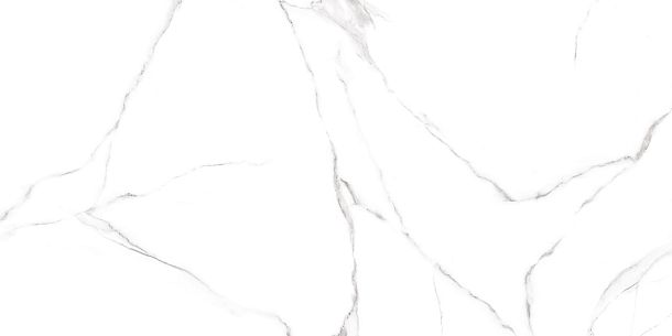 Фото Керамогранит Carrara матовый 600x1200x8,5 (GFU60120CRR00R) Россия