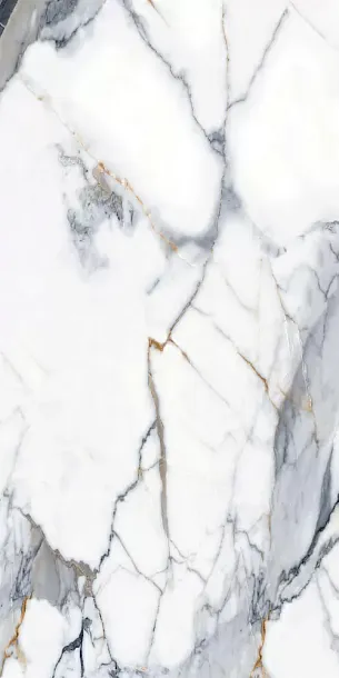 Фото Керамогранит Calacatta Gold Digital Glazed-3D Ink 60x120 (BHM-5002) Китай