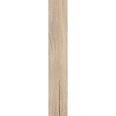 Керамогранит Sweden Honey 20x120