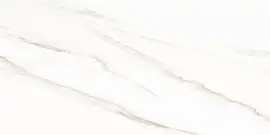 Фото Плитка WT9ESR00 Esprit Calacatta 250*500*9