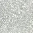 Керамогранит Refin LT84 Fossil Grey Rett 60x60