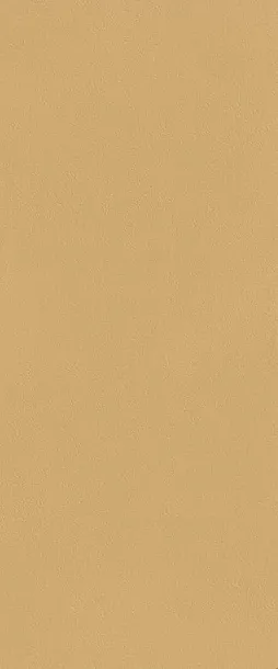 Фото Керамическая плитка FAP Ceramiche fTDS True Color Caramel Matt RT 50x120 Италия