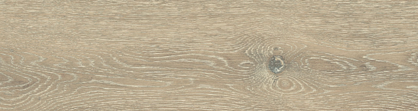 Фото Керамогранит DW02 Dream Wood Latte Неполированный 14,6x60x8 Россия