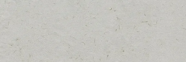 Фото Плитка Ibero R0002309 Botanical Savia Rect. 30x90 Испания