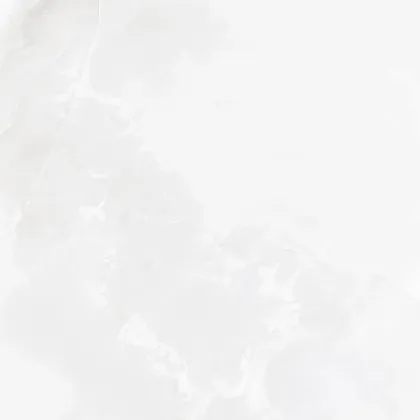 Фото Керамогранит Laparet Onyx Blanco Pro Светло-Серый Матовый R11Soft 60Х60 Индия