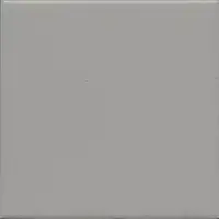 Фото Керамогранит 1329S Агуста серый светлый натуральный R10 9,8х9,8