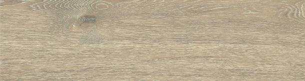 Фото Керамогранит DW02 Dream Wood Latte Неполированный 14,6x60x8 Россия