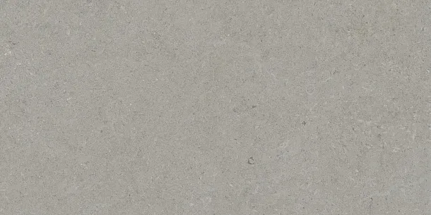 Фото Керамогранит Tau Ceramica Calcare Silver 60x120 Испания