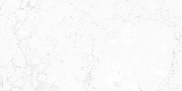 Фото Керамогранит Impero Carving 60x120 (NTT99518M) Индия