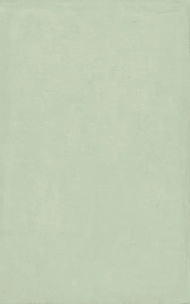 Фото Плитка 6409 Левада зеленый светлый глянцевый 25х40 Россия