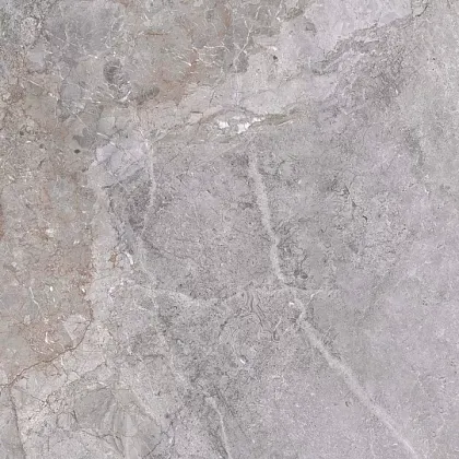 Фото Керамогранит ZERDE TILE Fior Di bosco Grey 60x60 Казахстан