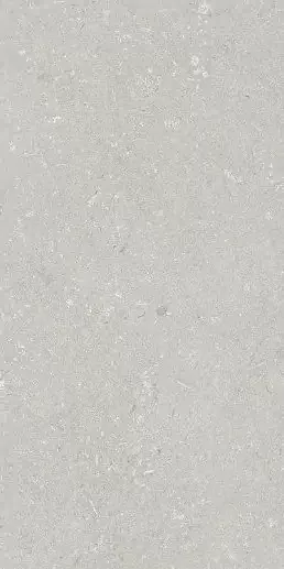 Фото Керамогранит Dado Ceramica 005487 Shellstone Bianco 60x120 Италия