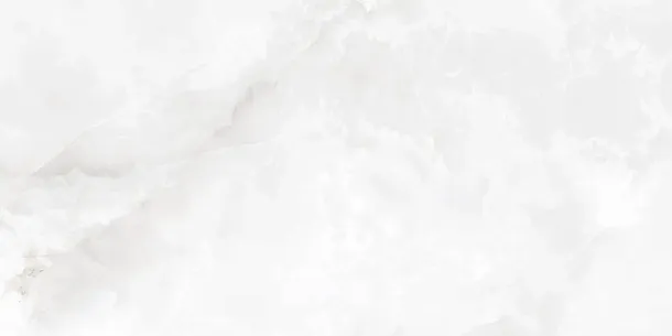 Фото Керамогранит Laparet Onyx Blanco Pro Светло-Серый Матовый R11Soft 60Х120 Индия