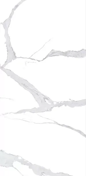 Фото Керамогранит Bianco Statuario 120x240 (NTT3008P) Китай